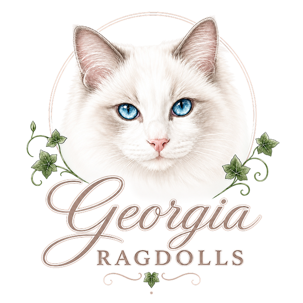 Georgia Ragdolls