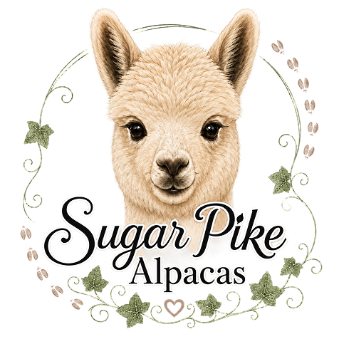 Sugar Pike Alpacas